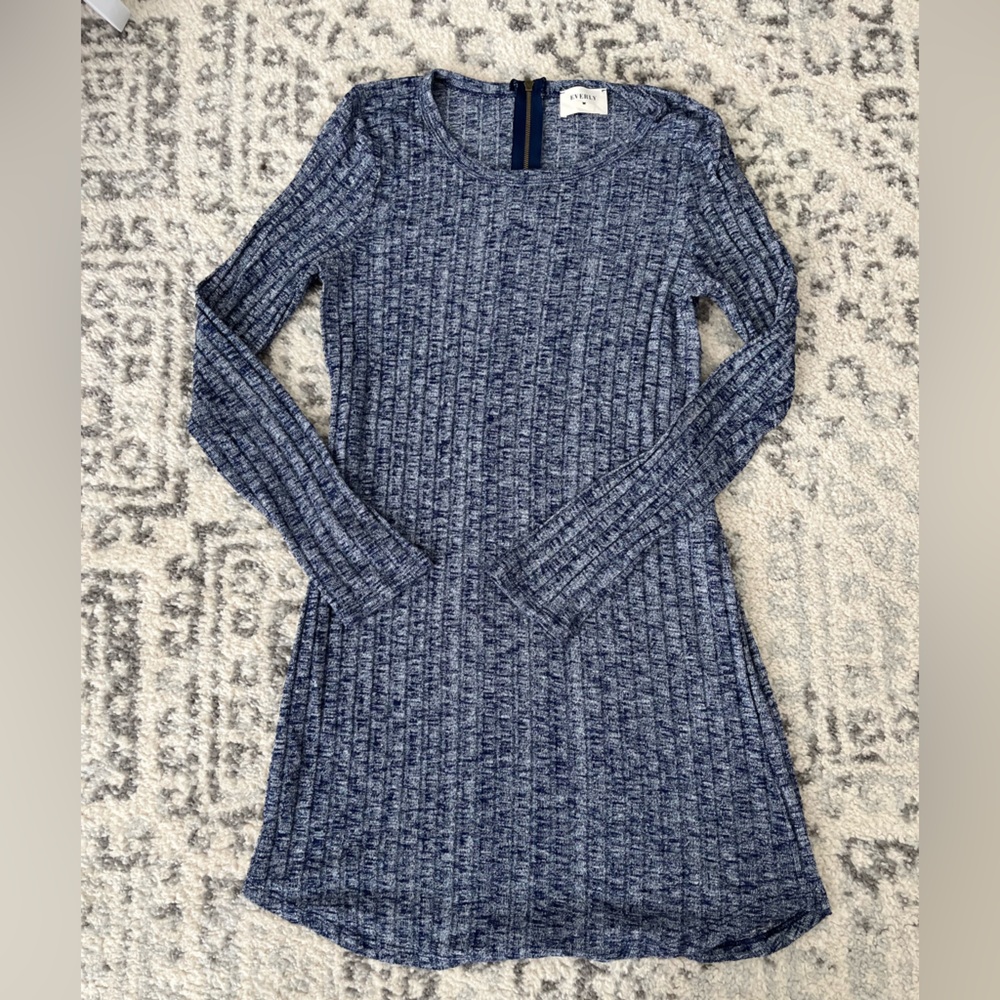 Blue Everly Long Sleeve Mini Dress